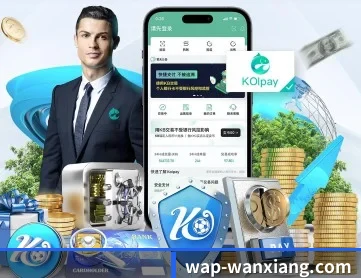 万向娱乐 APP 深度功能